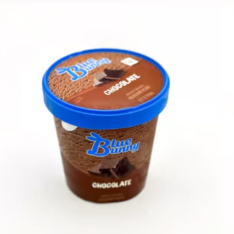Indulge in Decadent Chocolate Ice Cream